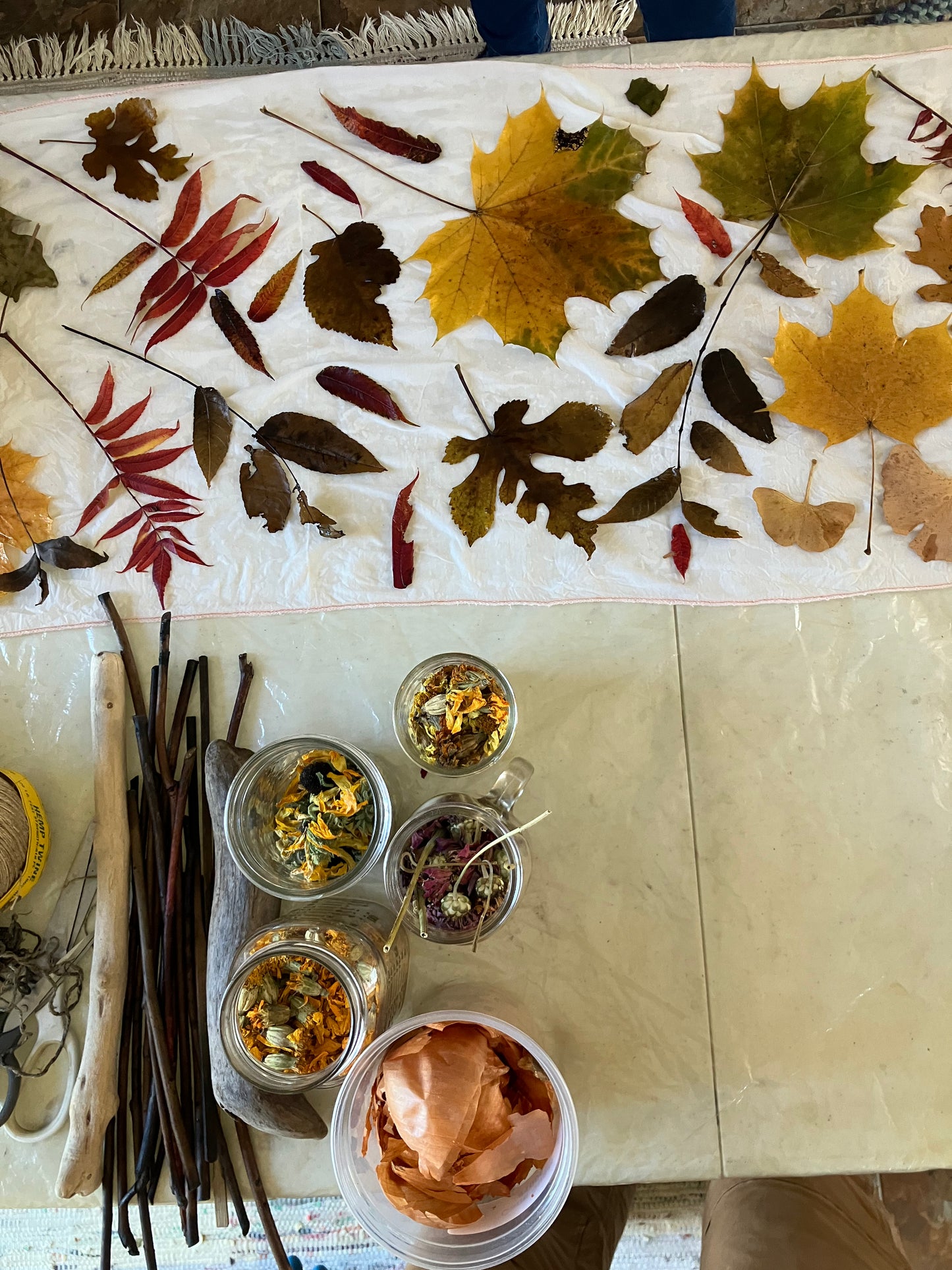 one-on-one eco-printing with me :: private workshop