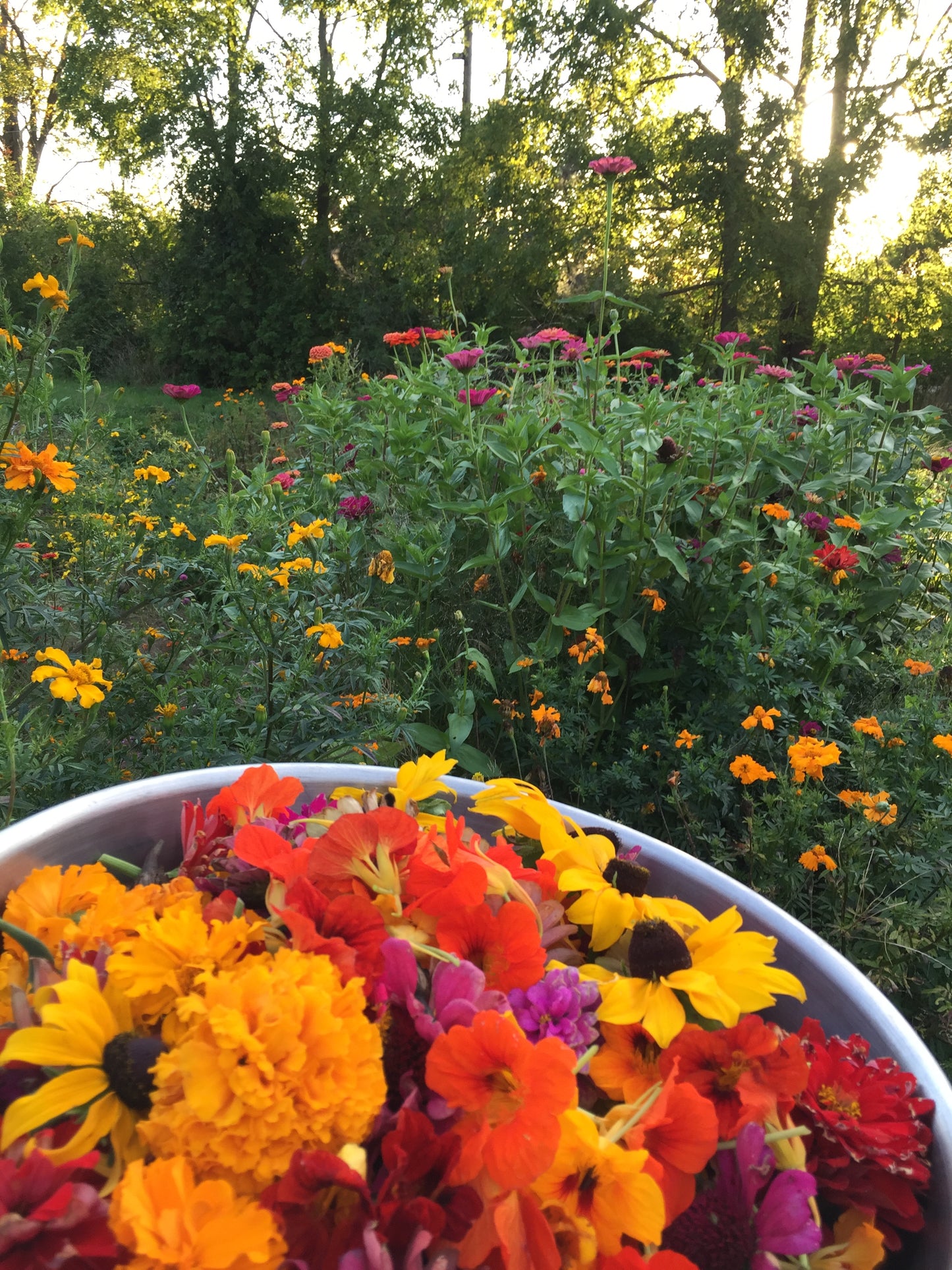 one-on-one eco-printing with me :: private workshop