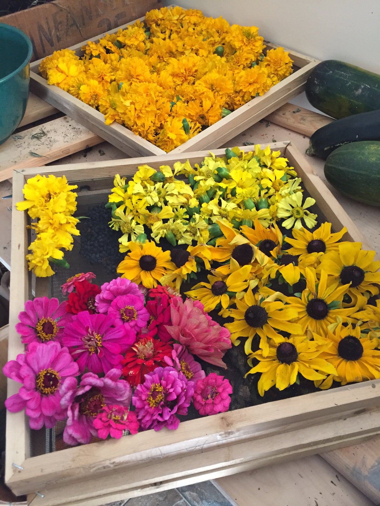 one-on-one eco-printing with me :: private workshop
