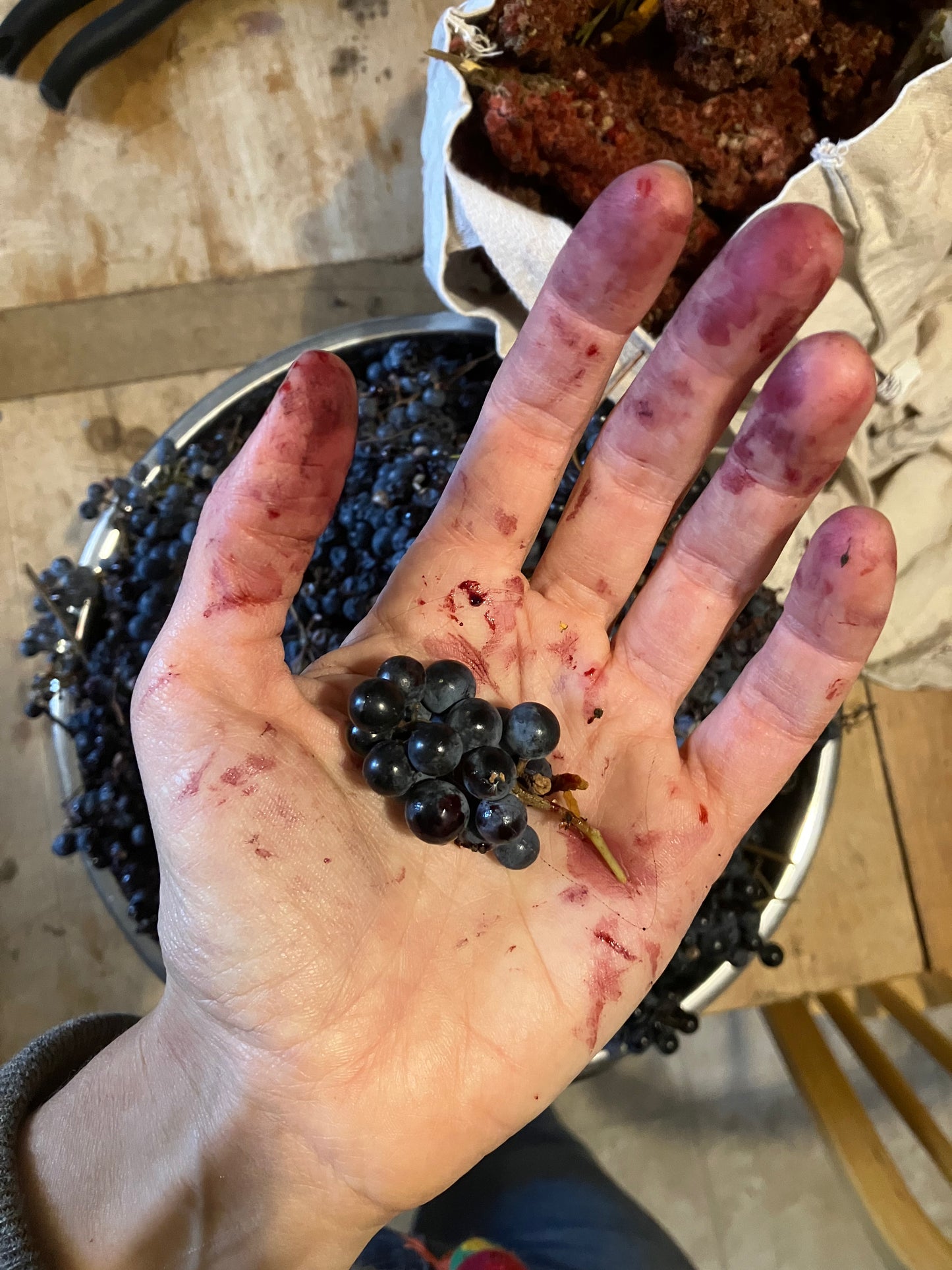 one-on-one eco-printing with me :: private workshop